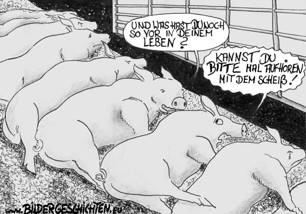 Schweineschicksal